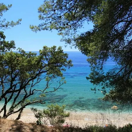 Villa Familiale, Plages A Pieds Par Chemin Pieton Le Pradet
